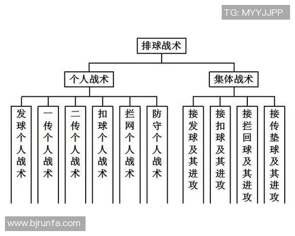 从零起步全面掌握排球战术技巧与实战应用指南